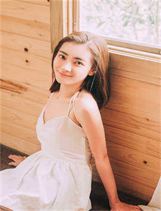新上门女婿电视剧